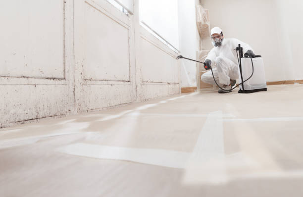 24/7 Emergency Bathroom Mold Removal experts in Clearwater, FL